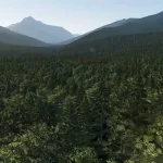 X-Plane 12 Oficiálně představeno 107 X Plane 12 083 1