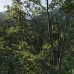 X-Plane 12 Oficiálně představeno 106 X Plane 12 084 1