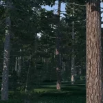X-Plane 12 Oficiálně představeno 105 X Plane 12 085 1
