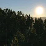 X-Plane 12 Oficiálně představeno 27 X Plane 12 185 1