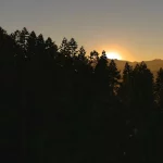 X-Plane 12 Oficiálně představeno 25 X Plane 12 186 1