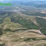 Global Forests V2 pro X-Plane 12 je nyní dostupný 17 19f241 1680b32d08824fa49a0e848e676eb53d mv2