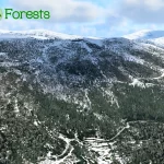 Global Forests V2 pro X-Plane 12 je nyní dostupný 8 19f241 19b06151e7e44c50b4f1fd6493f5d4c8 mv2