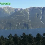 Global Forests V2 pro X-Plane 12 je nyní dostupný 9 19f241 37e5fe76f8204c8fa87863d1db5ca08b mv2