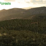 Global Forests V2 pro X-Plane 12 je nyní dostupný 15 19f241 9db1a22487a941a0a7913493e991ac5c mv2