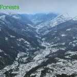 Global Forests V2 pro X-Plane 12 je nyní dostupný 12 19f241 decf88409c144d549cf260ce54450713 mv2