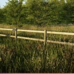 X-Plane 12.4.0 41 CCheck Assets 25